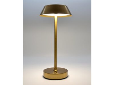 AGNES - Image 3
