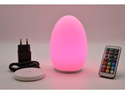 EGGIE - Image 16