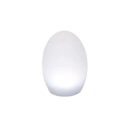EGGIE