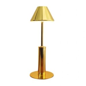 Ida gold3