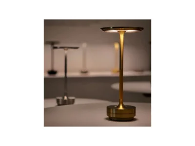LISA gold - Image 13